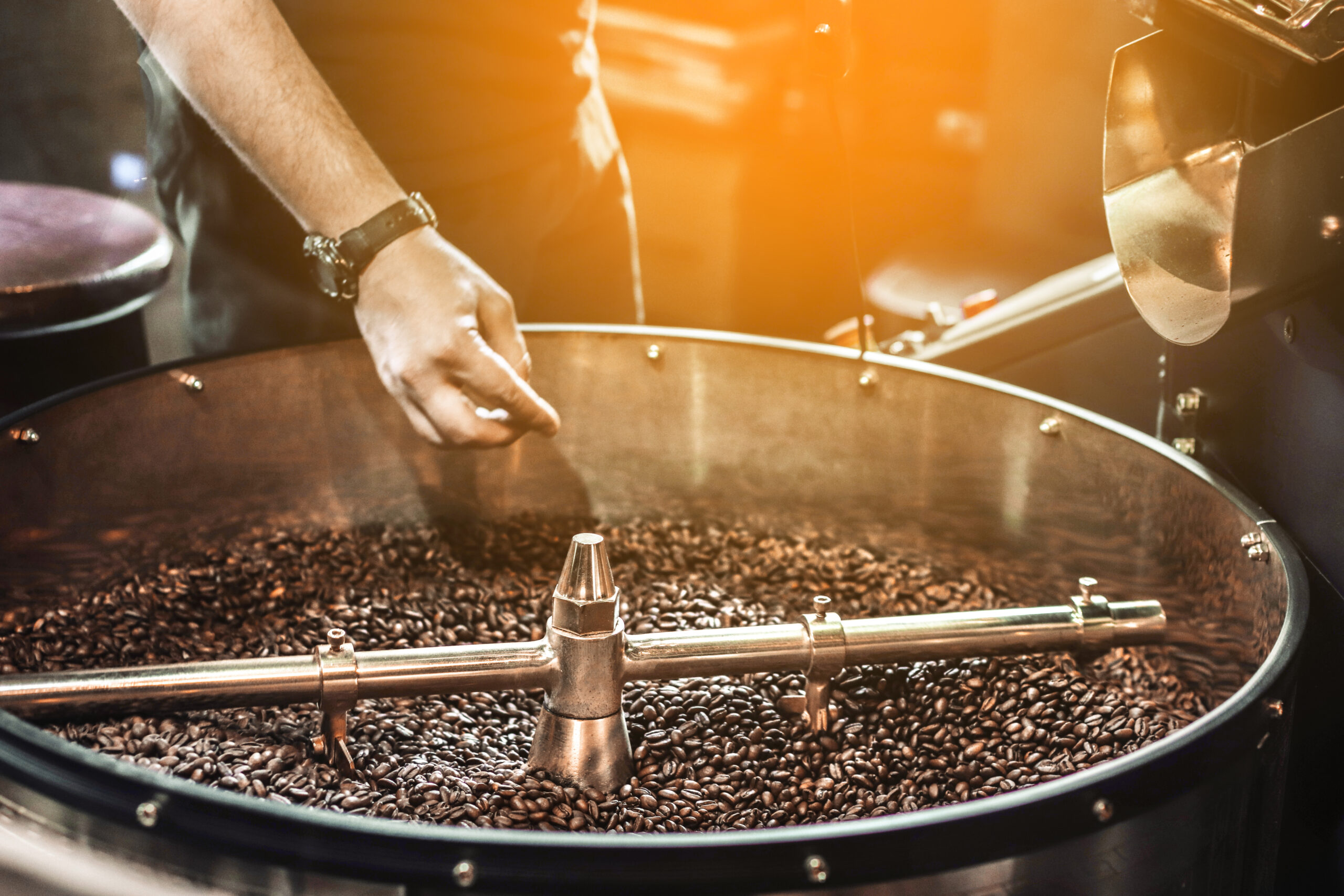 Professional handmade coffee roasting process. Metal drum full of coffee beans